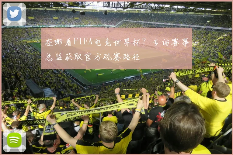 在哪看FIFA电竞世界杯？专访赛事总监获取官方观赛路径