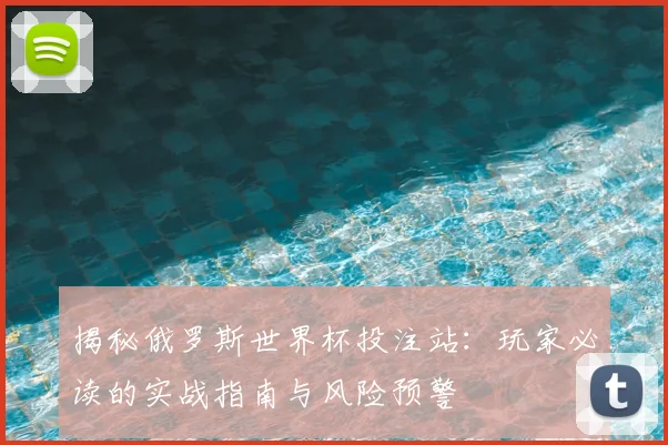 揭秘俄罗斯世界杯投注站：玩家必读的实战指南与风险预警