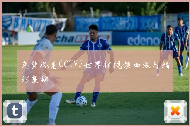 免费观看CCTV5世界杯视频回放与精彩集锦